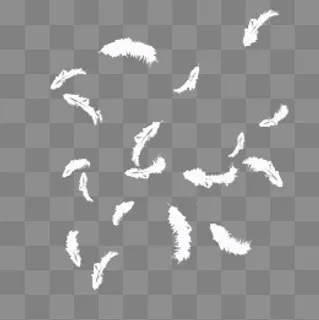 清新白色羽毛元素,免抠元素