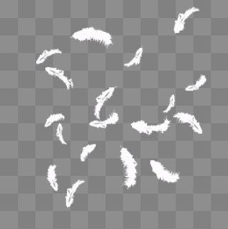 清新白色羽毛元素,免抠元素