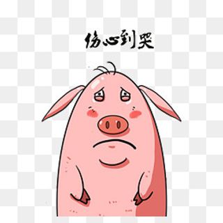 毛毛猪表情包伤心到哭