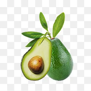 进口牛油果设计素材,免抠元素