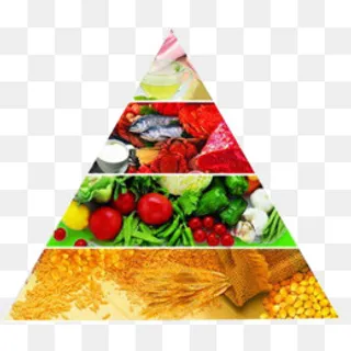 膳食宝塔