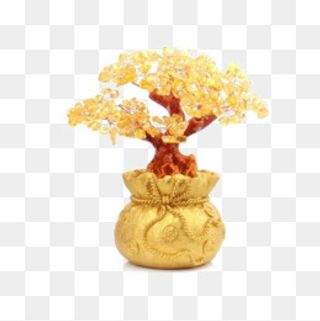 种植金树,免抠元素