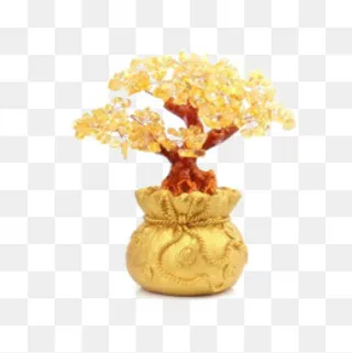 种植金树,免抠元素