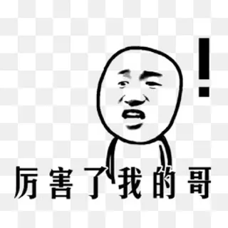 厉害了我的哥表情包