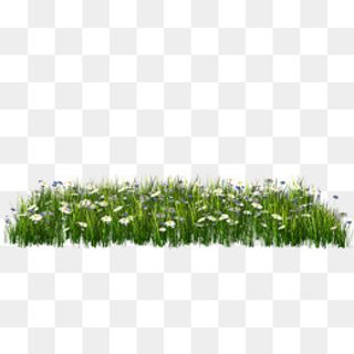 绿色野花草坪,免抠元素