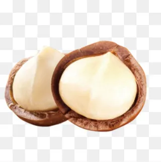 开壳的夏威夷果子,免抠元素