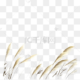 卡通芦苇PNG下载(3000*3000px)psd模版下载