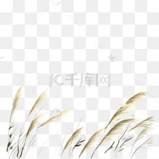 卡通芦苇PNG下载