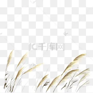 卡通芦苇PNG下载 卡通芦苇PNG下载