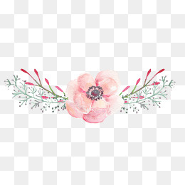 卡通水彩手绘小清新花草,免抠元素