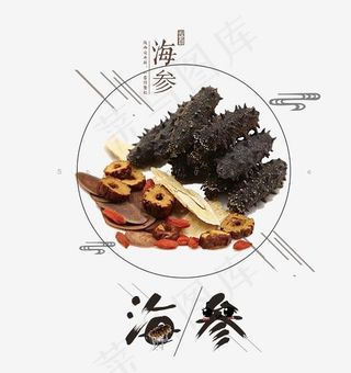 海参字体设计,免抠元素艺术字