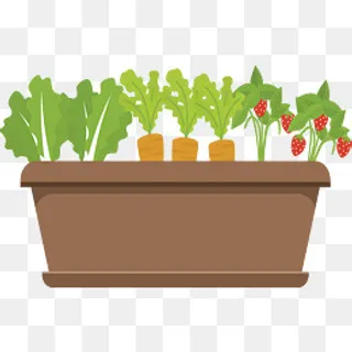 种在花盆里面的蔬菜,免抠元素 种在花盆里面的蔬菜,免抠元素