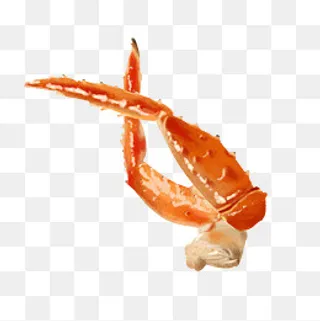 手绘漂亮的海鲜龙虾,免抠元素