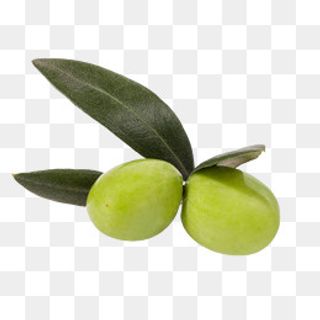 两个橄榄,免抠元素