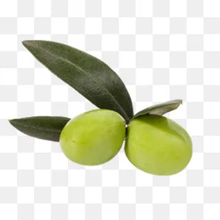 两个橄榄,免抠元素 两个橄榄,免抠元素