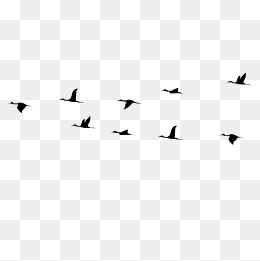 卡通大雁黑色的漂浮免抠图