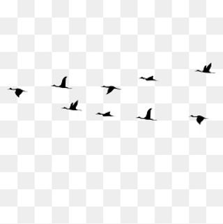 卡通大雁黑色的漂浮免抠图