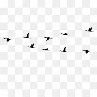 卡通大雁黑色的漂浮免抠图