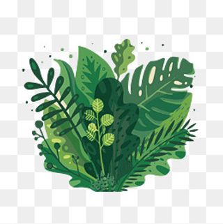 手绘扁平多色多造型植物矢量免抠,免抠元素