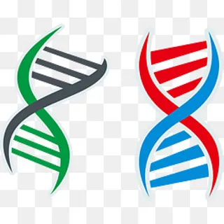 欧式可爱彩色DNA基因链矢量图,免抠元素