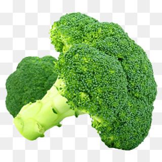 绿色花椰菜免抠素材,免抠元素