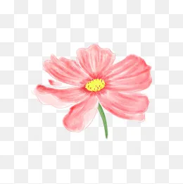 手绘风格花朵小花,免抠元素(2000*2000px)psd模版下载