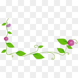 绿色牵牛花花藤边框,免抠元素