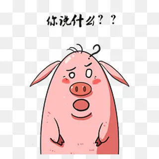毛毛猪表情包你说什么 毛毛猪表情包你说什么