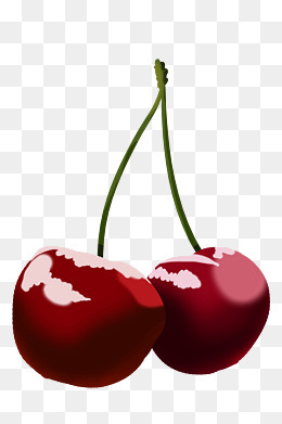营养樱桃手绘插画