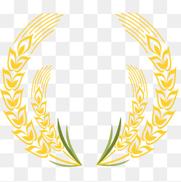 麦子边框矢量插画