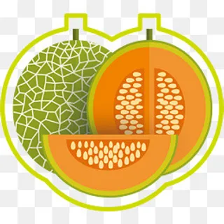 哈密瓜水果