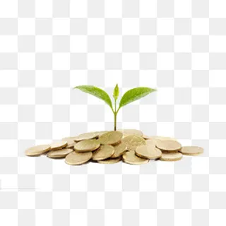 生长的财富树,免抠元素