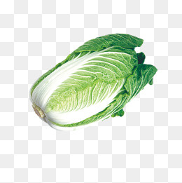 新鲜食材白菜,免抠元素