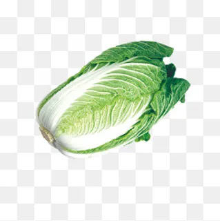 新鲜食材白菜,免抠元素