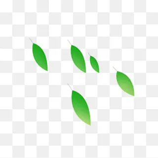 叶子的辉煌,免抠元素