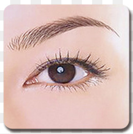 纹眉纹唇广告展板