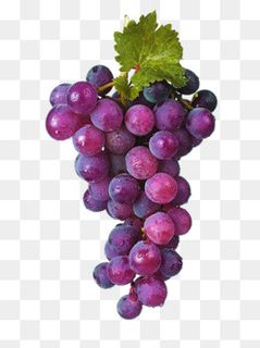 紫葡萄图片,免抠元素
