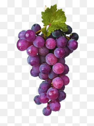 紫葡萄图片,免抠元素