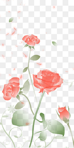 唯美玫瑰花玫瑰花瓣,免抠元素(2000*4000px)psd模版下载