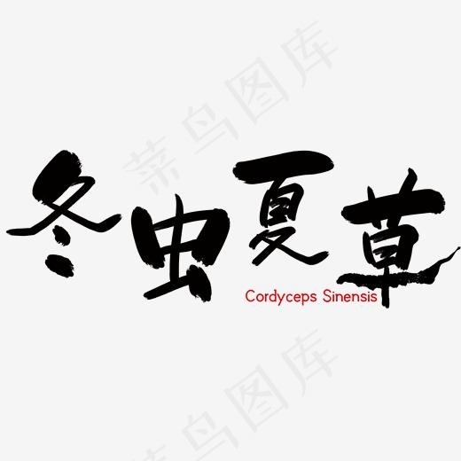 冬虫夏草创意黑色国风手写免扣毛笔艺术字(2000*2000px)psd模版下载