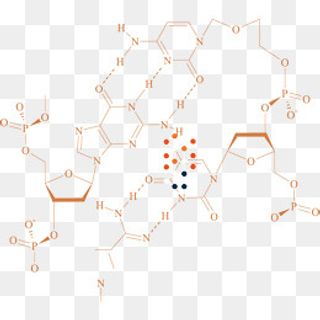 化学符号矢量图下载,免抠元素