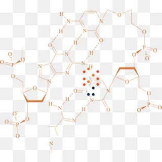 化学符号矢量图下载,免抠元素