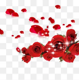 玫瑰花光效,免抠元素