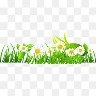 春暖花开白色花朵,免抠元素