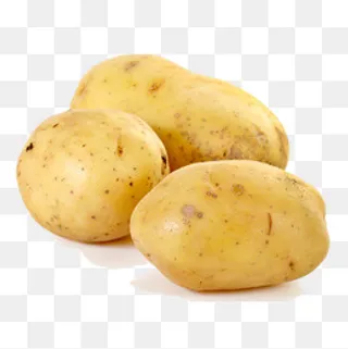 黄灿灿土豆免抠素材,免抠元素