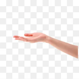 小清新的伸出来的嫩手PNG 小清新的伸出来的嫩手PNG