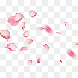 粉红色花瓣装饰元素,免抠元素(2000*2000px)psd模版下载