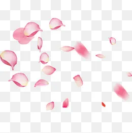 粉红色花瓣装饰元素,免抠元素(2000*2000px)psd模版下载
