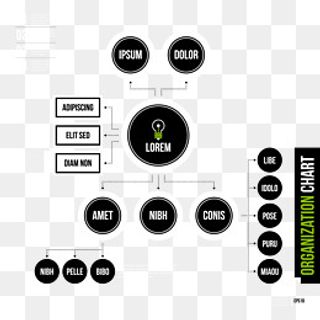公司信息图表,免抠元素