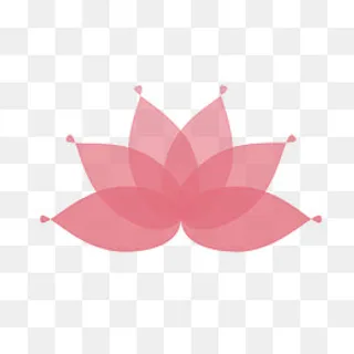 手绘荷花创意图表